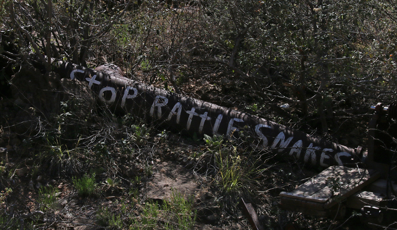 Rattle Snakes