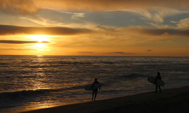 Surfer