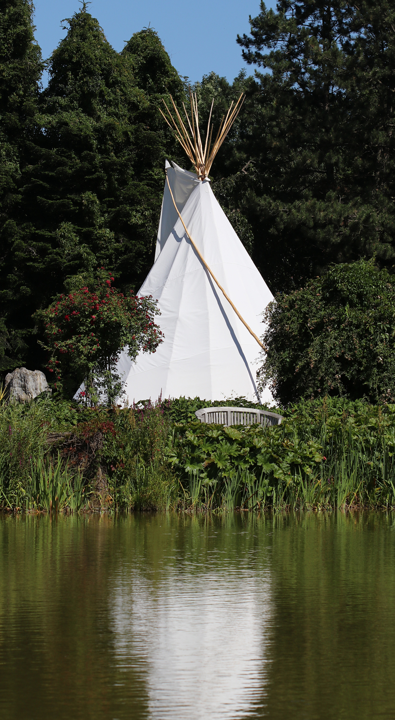 Tipi