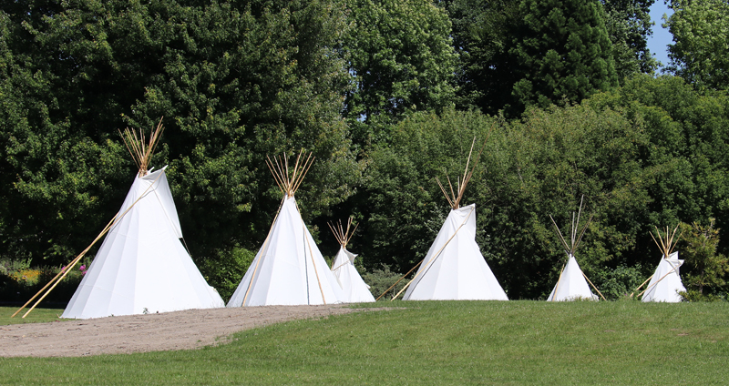 Tipi