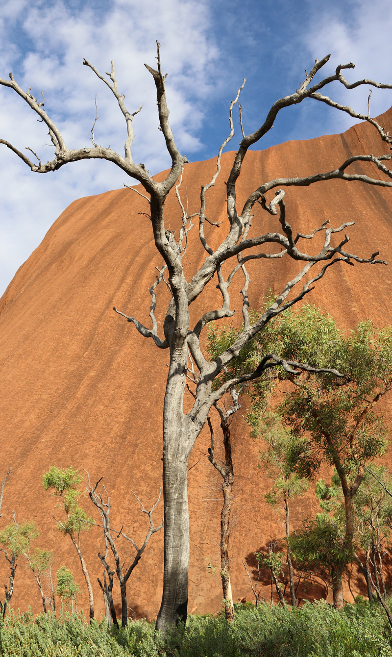 Uluru