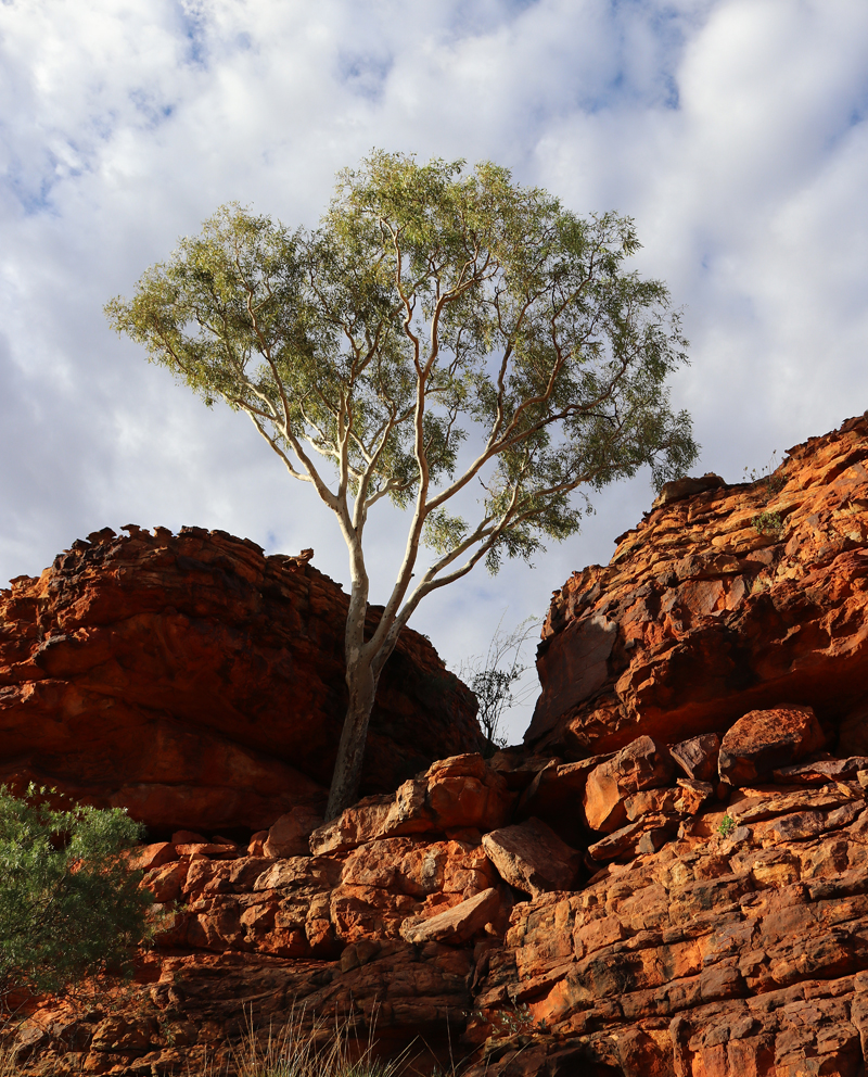 Uluru