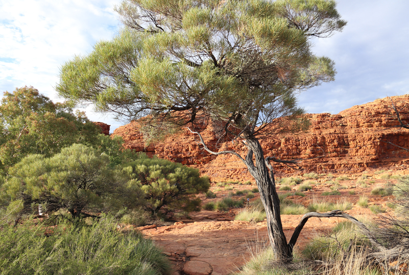 Uluru