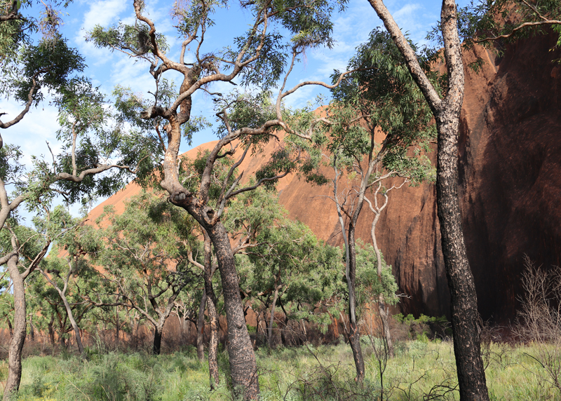 Uluru