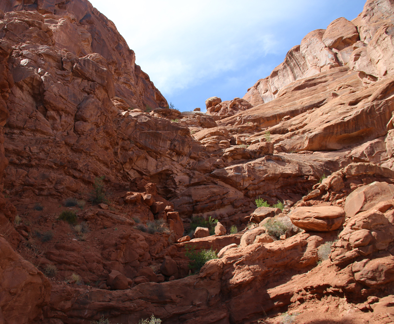 Arches National Park