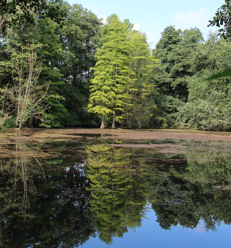 Naturfotografie