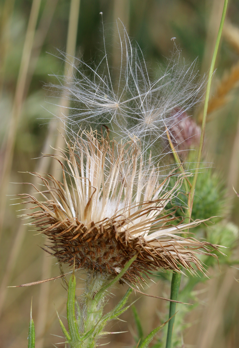 Naturfotografie