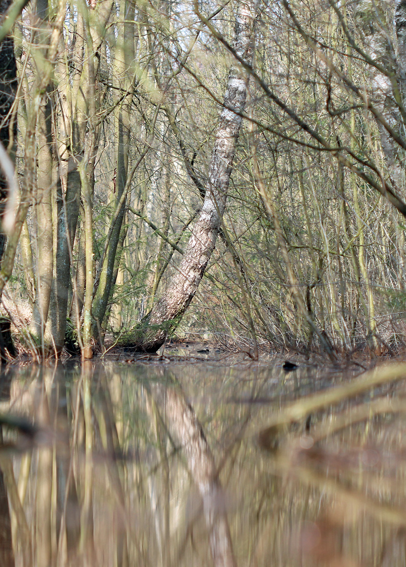 Naturfotografie