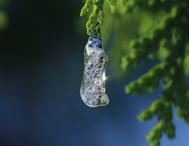 Naturfotografie