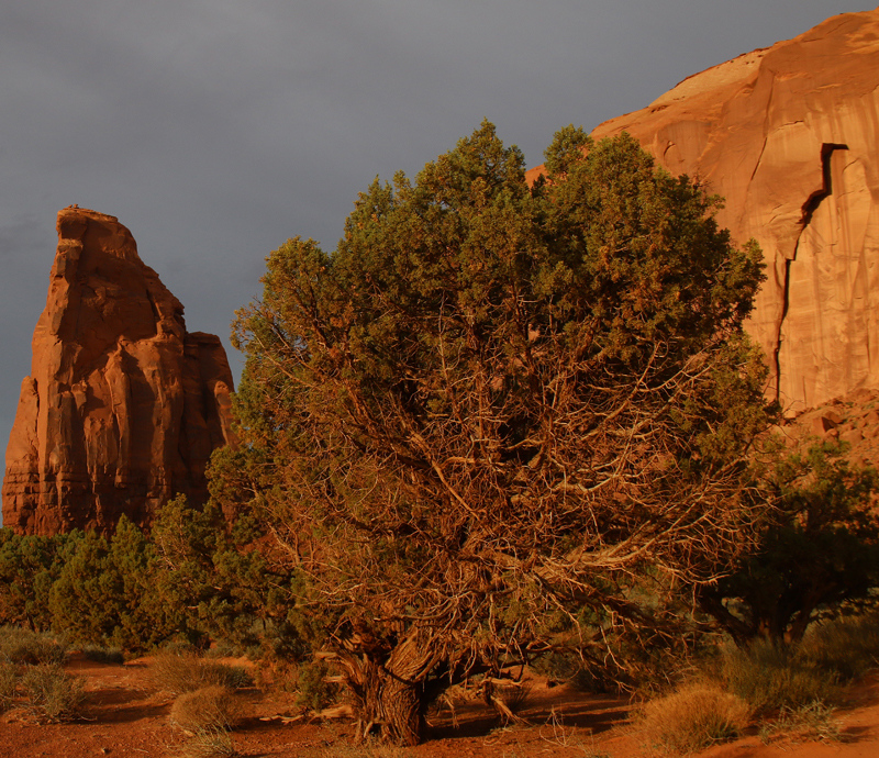 Monument Valley