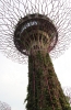 Gardens by the Bay