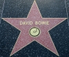 David Bowie