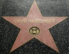 David Hasselhoff